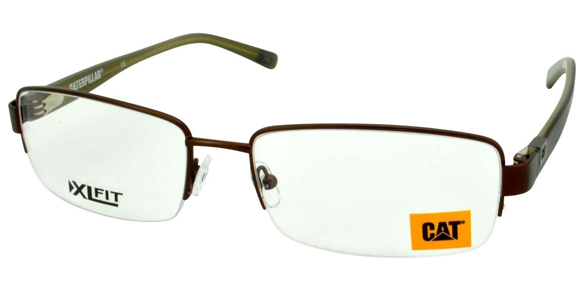 CAT CTO Flint