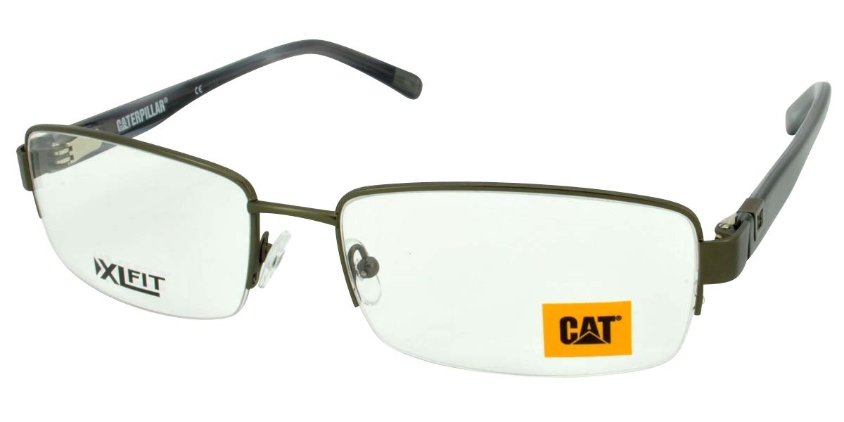 CAT CTO Flint